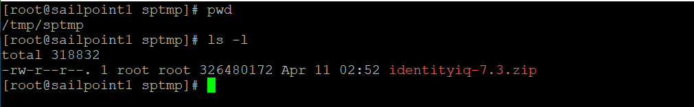 Terminal window showing downloaded file in temporary location