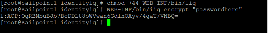Terminal window showing expected output from IIQ console when encrypting