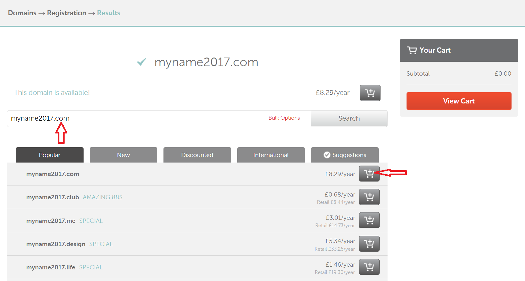 Purchasing a domain name: Step 3